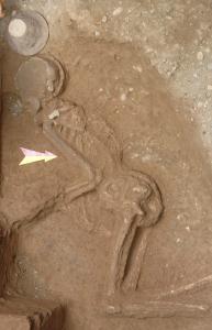 باستان‌شناسان پیشکسوت قدمت 7هزار ساله تهران را تأیید کردند