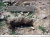 	تاراج‌گران گورستان تاریخی نورآباد را چپاول کردند